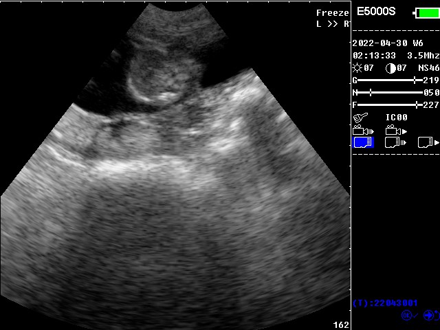 1-E5000s-03.jpg 1-E5000s-03.jpg
