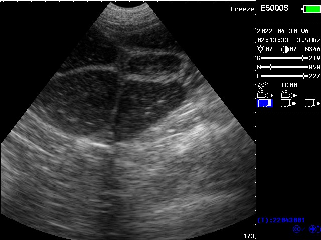 1-E5000s-06.jpg 1-E5000s-06.jpg
